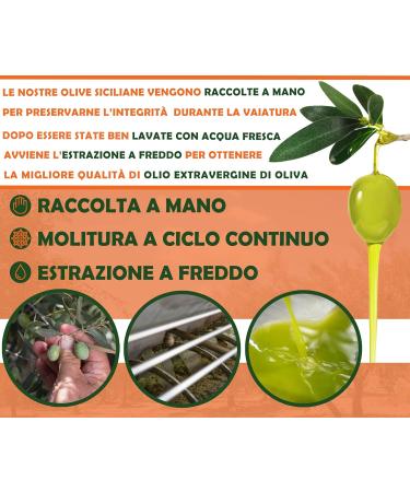 Oleificio Mallia - Extra Virgin Olive Oil 100% Italian - Can of 5 L - Fresh Harvest 2023/2024 Cold extracted - Buy Online on GoSupps.com
