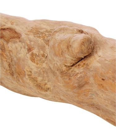 goodWood Chewable Wood Stick For Dogs - Large - Buy Online on GoSupps.com