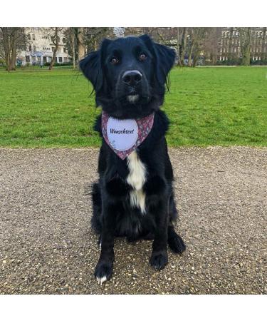 Printplanet Dog Halen with Custom Name/Text - Vintage Flower Pattern Size L - Narrow Fit for Dogs - Buy Online on GoSupps.com