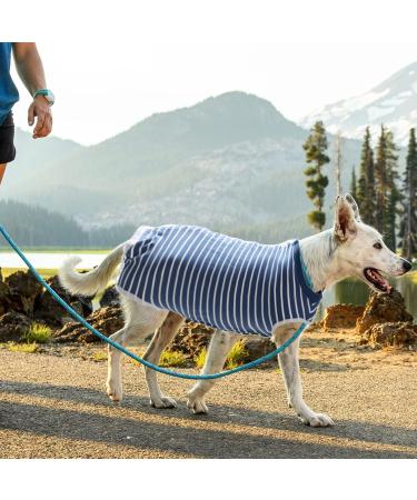 Recreational & Surgical Recovery Suit for Dogs & Cats - Postoperative Protection Prevent Licking 3XL Size - Buy Online on GoSupps.com