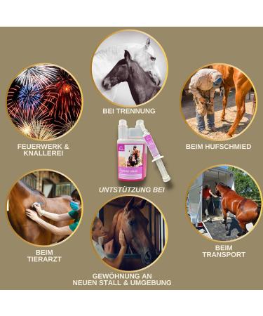 Emma Magnesium for Horses | 1L & 30ml Paste & Liquid | Calm & Relax Nervous Horses | Anti-Stress Nerve Support with Tryptophan - Buy Online on GoSupps.com
