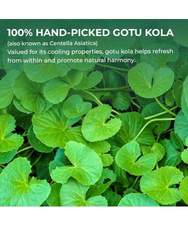 Centella Asiatica Powder (Gotu Kola) - 10.58 oz Herbal Tea for Cooling & Refreshing Supports Skin & Wellness Freeze-Dried & Finely Ground No Additives No Caffeine Gluten Free Gotu Kola Powder - Buy Online on GoSupps.com
