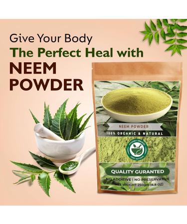 Neem Leaf Powder 8.8 OZ 100% Pure Azadirachta Indica | Traditional Ayurvedic Herb for Skin, Immune, and Detox Support 8.8 Ounce (Pack of 1) - Buy Online on GoSupps.com