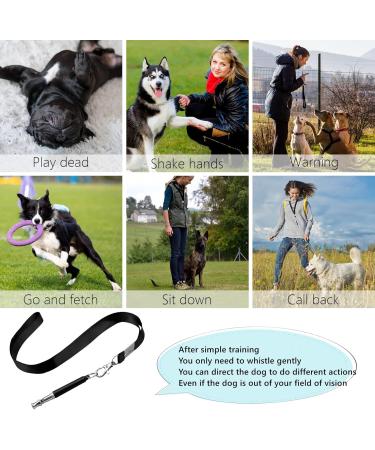 Adjustable Dog Whistle Set - Stop Neighbor's Barking & Train Your Dog - 2 Pieces with Lanyard | Professional Ultrasound Recall Training - Buy Online on GoSupps.com