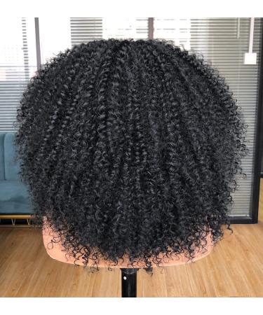 Annivia Curly Lace Front Wig - Pre Plucked Kinky Curly Afro Wig for Black Women - 17 Long HD T Part Synthetic Wig - Buy Online on GoSupps.com