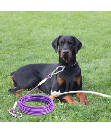 Shop Tie-Out Leashes for Dogs - 9M Purple Yard Leash for Ultimate Outdoor Comfort - Buy Online on GoSupps.com