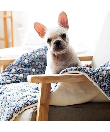 Premium Fluffy Flannel Pet Blanket for Dogs and Cats - Soft and Warm Mat - Blue Stars - Small Size - Buy Online on GoSupps.com