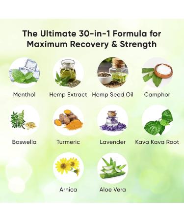 Hemp Cream Maximum Strength - Menthol Rub with Hemp Oil, Arnica, Lavender, Aloe Vera, Kava Kava, & Camphor - Natural Hemp Muscle Rub Cream for Skin, Muscles & Joints - ZenRenu, 4 oz - Buy Online on GoSupps.com