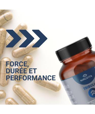 NIRUVITA | TRIBULUS Terrestris | 40% Saponins | L-Arginine Maca Magnesium Stearate | Strength + Endurance + Performance | Energy Stimulating | No Additives | 100% Vegan | 90 Capsules - Buy Online on GoSupps.com