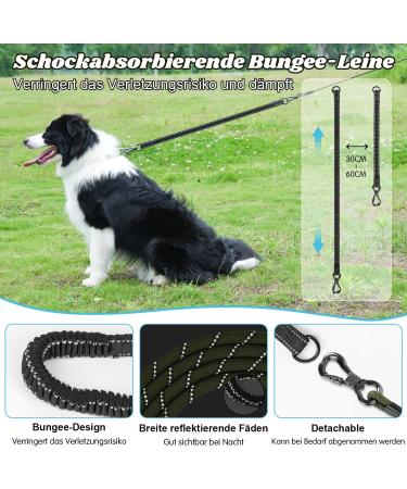 Aystkniet Bungee Dog Drag Line - 3m 5m 10m 15m 20m 30m | Shock-Absorbing Leash with Padded Handle & Reflective Threads for Medium Large Dogs - Army Green - Buy Online on GoSupps.com