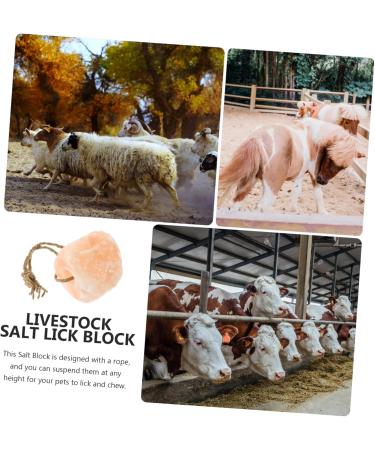 Balacoo Animal Lick Salt Block Livestock Licking Salt Livestock Salt Block Livestock Natural Salt Livestock Supplies Hanging Livestock Salt Food Salt Licking Block Nutrition Snack - Buy Online on GoSupps.com