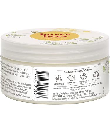 Burt's Bees Mama Belly Butter - Pregnancy Lotion & Stretch Mark Cream with Shea Butter and Vitamin E - 99% Natural - 6.5 Ounce (Pack of 1) - Buy Online on GoSupps.com
