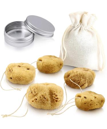 tom&pat Menstrual Sponge with String Alternative to Soft Tampon and Menstrual disc - DERMATEST: Very Good with Travel Change case Natural Sponge Washable & Reusable (Size M / 5 x 5-7 cm)