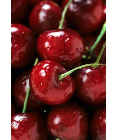 Delicious Ponthier Cherry Puree 1kg - Premium Fruit Puree for Smoothies Sorbets & Cocktails - Buy Online on GoSupps.com