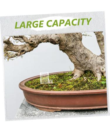 Kisangel 5pcs Pet Water Feeder Ants Feeder Water Feeding Cup for Ants Nest Ants Waterer for Garden Plastic - Buy Online on GoSupps.com