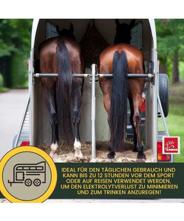 Electrolyte Horse Paste with Vitamins | B Complex Sodium Potassium & Magnesium - Essential After Diarrhea & for Hydration | International Shipping Available - Buy Online on GoSupps.com
