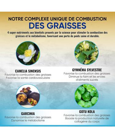 HepaLiv by Nutrisolution | Liver Health & Weight Loss Supports | Powerful Fat Burner | With Saffron Rosemary Kola Nuts | Made in France - Buy Online on GoSupps.com