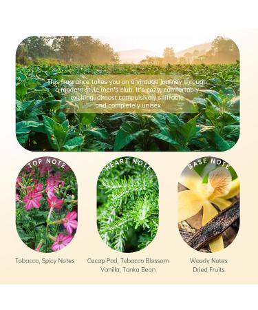 No.011 - Oriental Spicy Eau de Parfum - Inspired by T.F Tobacco Vanille Luxury Fragrance for Men/Women Unisex Long Lasting Perfume Spray - 1.7 Fl Oz/50 ml No.011 - Inspired by T.F Tobacco Vanille - Buy Online on GoSupps.com