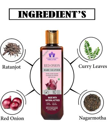 Blessfull Healing Organic Red-Onion Hair Cleanser | Shampoo 200 ML (Packing May Vary) - Buy Online on GoSupps.com