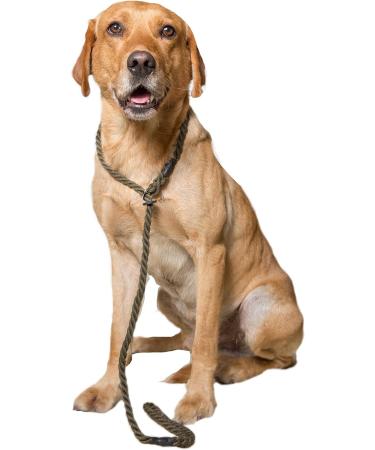 Dog & Field Deluxe Gundog Slip Lead - Olive Green Marine Rope - One Size Fits All - 150cm - Buy Online on GoSupps.com