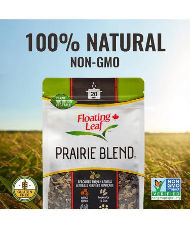 Pack of 3 x 400g Prairie Blend Brown Rice Wild Rice Hulled Millet and Sprouted French Lentils and Quinoa Non Gluten Non-GMO Kosher and Vegan - Floating Leaf - Buy Online on GoSupps.com