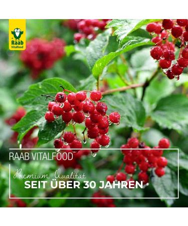 Buy Raab Vitalfood Organic Cranberry Extract Capsules - 90 Sugar-Free & Vegan 50mg Proanthocyanidins (PAC) - Gluten-Free International Shipping - Buy Online on GoSupps.com