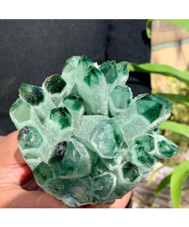 Natural Green Phantom Quartz Crystal Cluster Specimen Stone ERTEYIN (Size : 450-500g) - Buy Online on GoSupps.com