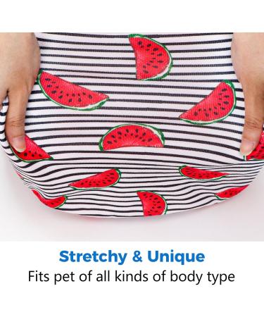 Buy 2-Pack Cute Summer Dog Shirts for Small Dogs - Sleeveless Striped Watermelon & Fruit Print - Light & Breathable Puppy Clothing - Buy Online on GoSupps.com