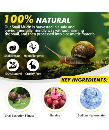  Generisch 92% Snail Mucin Repair Cream - Skin Care - Anti-Aging Moisturizing Cream - Daily Facial Repair - Deep Hydration - Nourishes the Skin - Mucin - Repair Cream - Buy Online on GoSupps.com