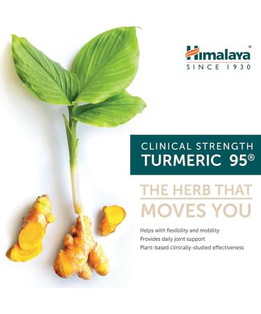 Himalaya Turmeric 95 with Curcumin 60 Vegetarian Capsules for Antioxidant & Joint Support 600 mg 1 Month Supply 60 count (Pack of 1) - Buy Online on GoSupps.com