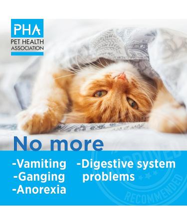 PHA Hairball Remedy for Cats - Natural Digestive Health Supplement (100 ML) - Buy Online on GoSupps.com