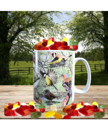 British Garden Birds Mug with Choice of Sweets Gift - Buy Online on GoSupps.com