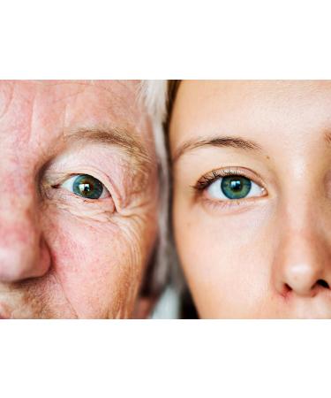 Lippus Premium All-in-One Contact Lenses Fluidity | Made in Germany | Includes Container | Suitable for Soft Weekly & Monthly Lenses | Cleaned & Disinfected - Buy Online on GoSupps.com