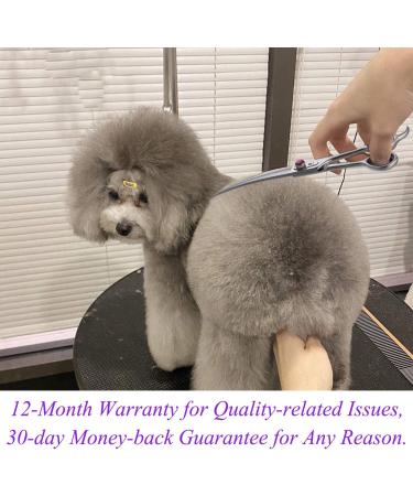 Professional Dog Grooming Scissors Shears - 7 Inch Rainbow Pet Hair Cutting Shears Japanese Stainless Steel Straight & Curved Blades for Cats & Dogs - Buy Online on GoSupps.com