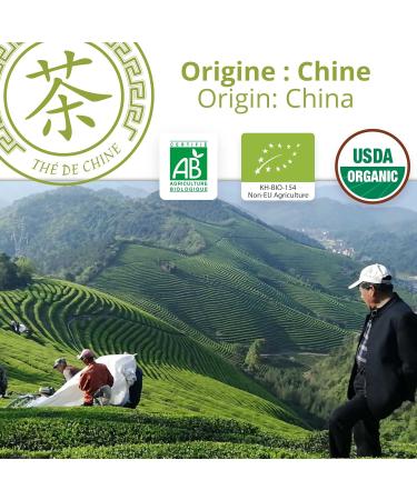  Khla Khla - Organic Sencha Tea - 90g Loose Leaf Tin - Iced Tea - Japanese Sencha Green Tea - Fresh & Fragrant - Dried Leaves - Asian Tea - Origin: China - Iced or Hot - Herbal Tea & Infusion - Buy Online on GoSupps.com