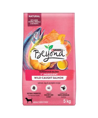 Beyond Superfood Blend Natural Dry Dog Food Wild Caught Salmon Egg & Pumpkin - 5 kg Bag 5 kg (Pack of 1) Dog Food
