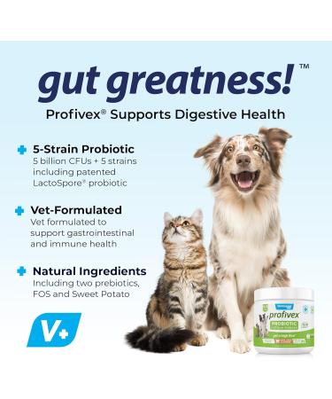 Buy Vetnique Labs Profivex Probiotics for Dogs - All Natural Digestive Health Chews & Powder (8.5oz) - 5 Probiotic Strains & Prebiotics - Buy Online on GoSupps.com