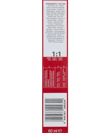 Schwarzkopf Igora Royal Hair Color 8-55 Light Blonde Gold Extra - International Shipping Available | Buy Now - Buy Online on GoSupps.com