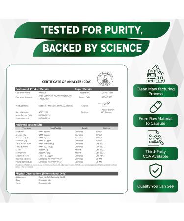 Mullein Liquid Drops - Peppermint, Elderflower, Ginger - Lung Detox, Respiratory Support, Bronchial Support - 2.0 fl oz (60ml) 2 Fl Oz (Pack of 1) - Buy Online on GoSupps.com