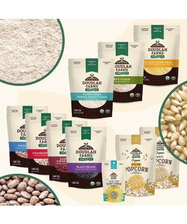 Organic Dried Pinto Beans 5lb Bulk | Grown in USA | Vegan & Non-GMO | Fiber & Protein for Soups, Burritos, Salads | Doudlah Farms - Buy Online on GoSupps.com