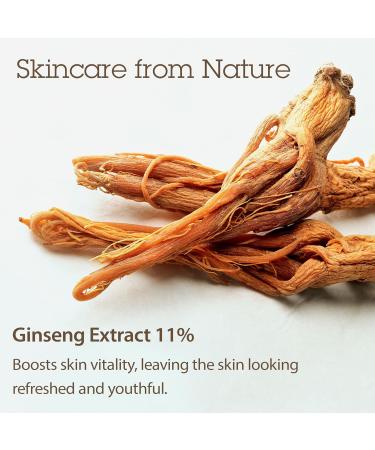 BLITHE Vital Treatment 5 Energy Roots Face Toner for Damaged Dry Skin - Facial Essence with Red Ginseng & Burdock for Plump & Healthy Skin Complexion Korean Beauty Vitalizing & Hydrating 5 Fl Oz - Buy Online on GoSupps.com