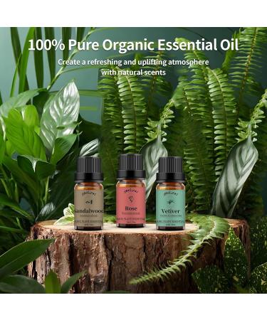 Rose Sandalwood Vetiver Essential Oils Set 100% Pure Premium Grade Natural Fragrance Oil Gift kit for Diffusers Home Care Candle Making Fragrance Aromatherapy Humidifiers Rose + Sandalwood + Vetiver 10.00 ml (Pack of 3) - Buy Online on GoSupps.com
