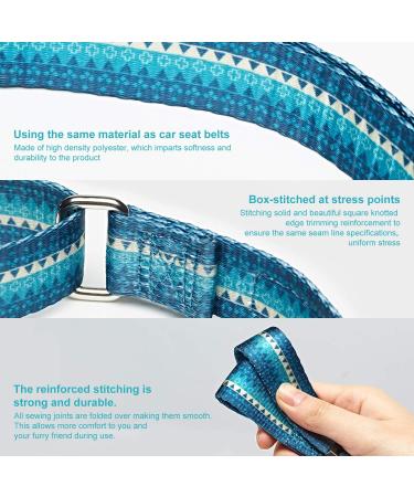 Dazzber Martingale Collars for Dogs - Durable Turquoise Green No Pulling Fits 27.9-38.1 cm Neck Perfect for Small to Medium Dogs - 5/8 Inch Wide - Buy Online on GoSupps.com