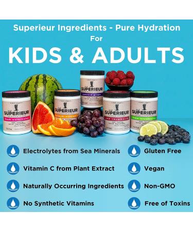 Superieur Electrolyte Powder Packets - Vegan Hydration Powder with Sea Minerals - Keto Friendly, Non-GMO, Zero Sugar Supplement - Raspberry Flavor (14 Packets) - Buy Online on GoSupps.com
