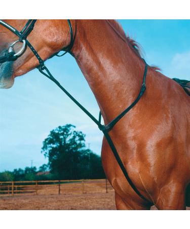 Shires Standing Martingales Black Cob - Buy Online on GoSupps.com