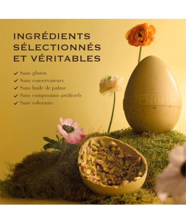 Venchi - uf en Chocolat Ar me Chocolat au Lait aux "Noisettes du Pi mont" Enti res avec Surprise Sans Gluten 1 kg Collection P ques Id e Cadeau - Buy Online on GoSupps.com