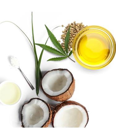 Bevel 2-in-1 Anti Dandruff Shampoo and Conditioner with Hemp Seed & Pyrithione Zinc 12 oz - 2n1 Shampoo & Conditioner - Buy Online on GoSupps.com