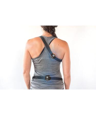 Ashnu Tech IC Lobster - Premium Seafood | Fresh International Shipping | Buy Now! - Buy Online on GoSupps.com