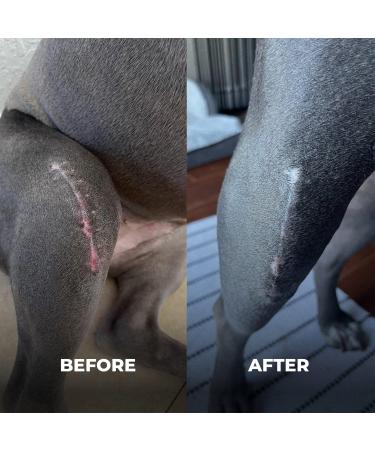 Bulldog Wrinkle & Hot Spot Treatment Ointment with Silver & Honey - Soothes Skin, Tail Pockets for French, English, Pug Bulldogs - Buy Online on GoSupps.com