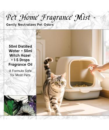 HIQILI 30ML Patchouli Essential Oil & 30ML Nordic Berry Veil Fragrance Oil for DIY Diffuser - Buy Online on GoSupps.com